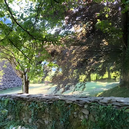 Maison Familiale Face A La Montagne Saint-Vincent-de-Salers